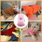 🔥(Buy 1 Get 1 Free)🔥Pet Hoodie With Pocket