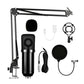 Professional Condenser Microphone Kit with Boom Arm Stand