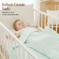 🔥 Hot sale 50% OFF🔥Ultra-Soft Cooling Comforter